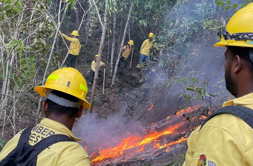 Medio Ambiente continúa trabajos de sofocación de fuegos forestales